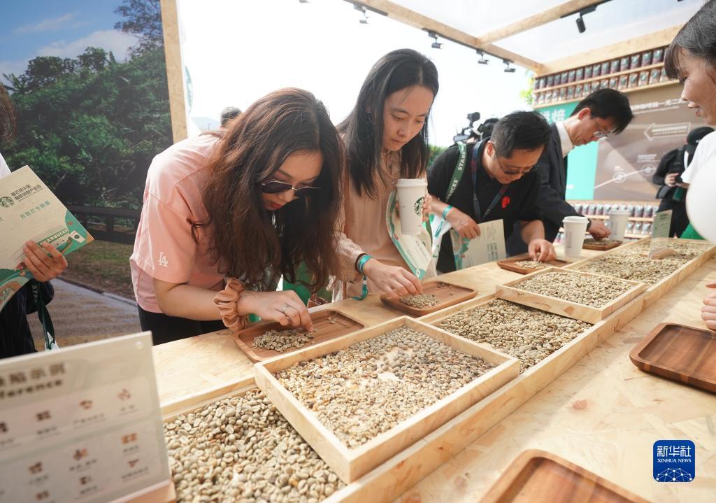 金沙登陆网址
